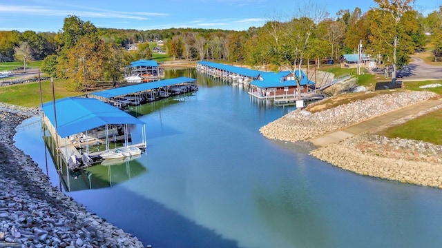 29 Bradley Ln, Bath Springs, TN 38311 - bird's eye view of a large body of water and a forest