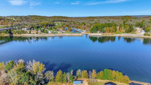 29 Bradley Ln, Bath Springs, TN 38311 - water view featuring a heavily wooded area