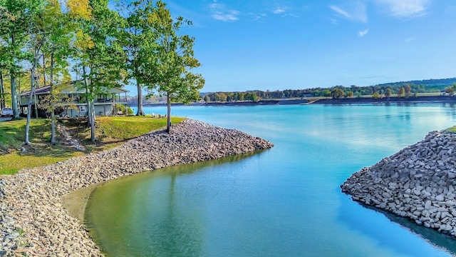 29 Bradley Ln, Bath Springs, TN 38311 - water view