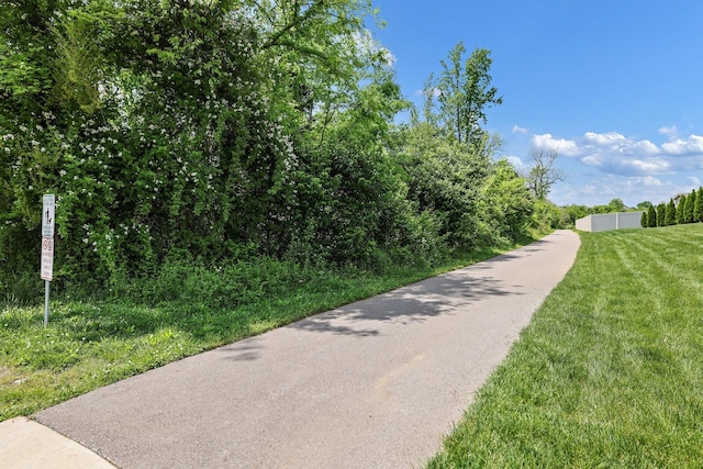 2039 Friendship Dr, Spring Hill, TN 37174 - view of road