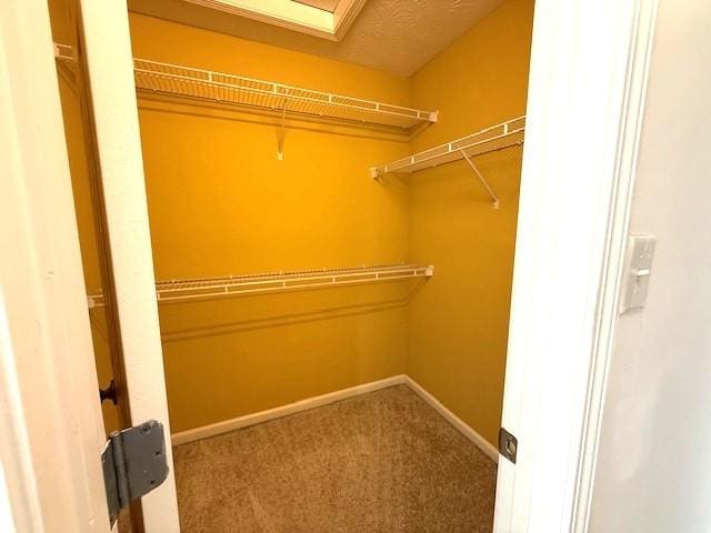 718 Cedar Grove Ct, Clarksville, TN 37040 - photo 31