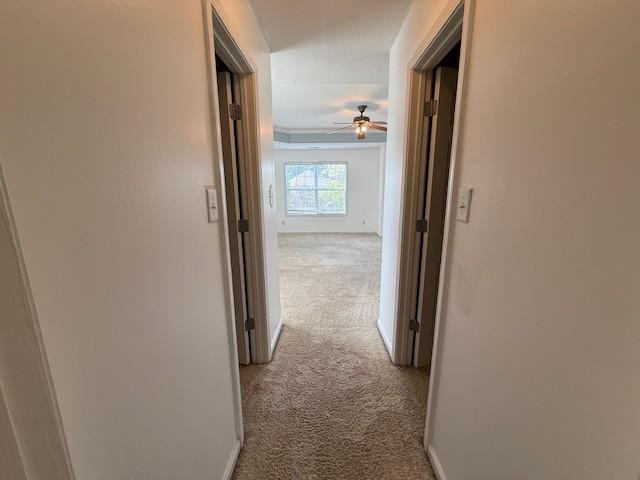 718 Cedar Grove Ct, Clarksville, TN 37040 - photo 37
