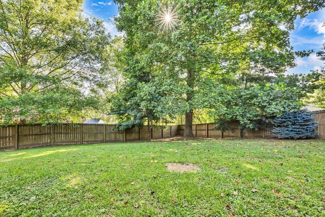 720 Superior Ln, Clarksville, TN 37043 - view of fenced backyard