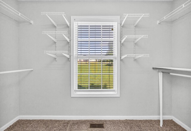 720 Superior Ln, Clarksville, TN 37043 - spacious closet featuring carpet floors