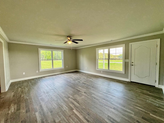 8165 State Line Rd, Taft, TN 38488 - photo 7