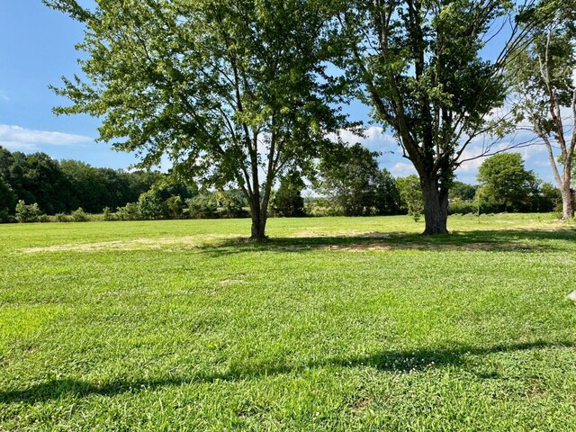 8165 State Line Rd, Taft, TN 38488 - photo 17