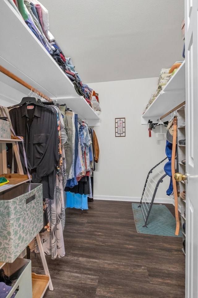 706 Running Deer Dr, Columbia, TN 38401 - walk in closet with wood finished floors