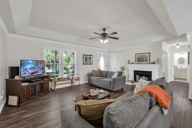 706 Running Deer Dr, Columbia, TN 38401 - living area featuring a tray ceiling, a fireplace, dark wood-type flooring, and ornamental molding