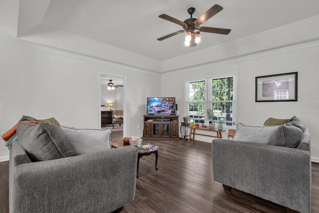 706 Running Deer Dr, Columbia, TN 38401 - living room featuring a raised ceiling, ceiling fan, dark wood finished floors, and ornamental molding