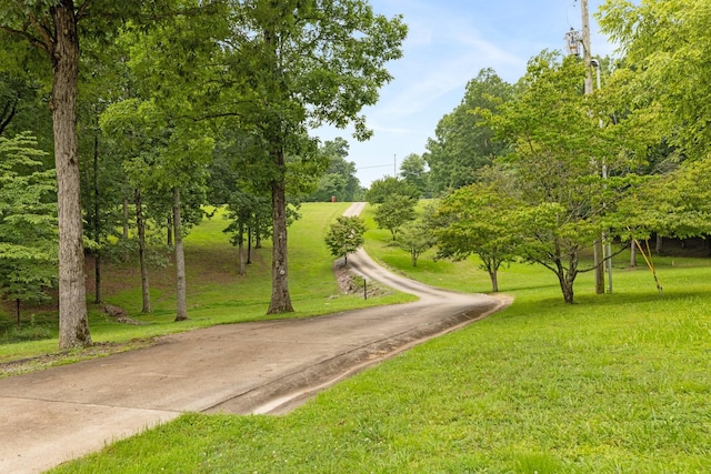 599 Countryside Dr, Loretto, TN 38469 - view of property's community featuring a yard