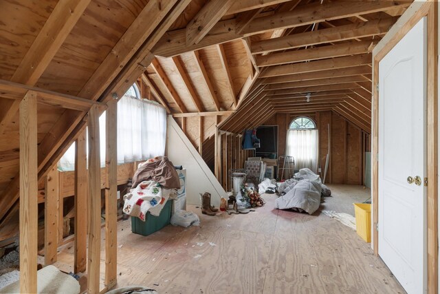 599 Countryside Dr, Loretto, TN 38469 - view of unfinished attic