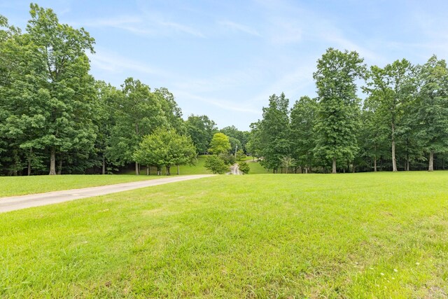 599 Countryside Dr, Loretto, TN 38469 - view of grassy yard