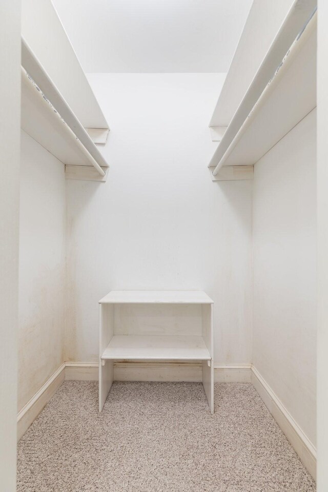 599 Countryside Dr, Loretto, TN 38469 - walk in closet featuring carpet flooring