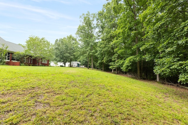 599 Countryside Dr, Loretto, TN 38469 - view of green lawn