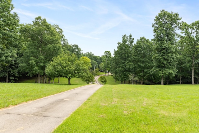 599 Countryside Dr, Loretto, TN 38469 - view of property's community featuring a lawn
