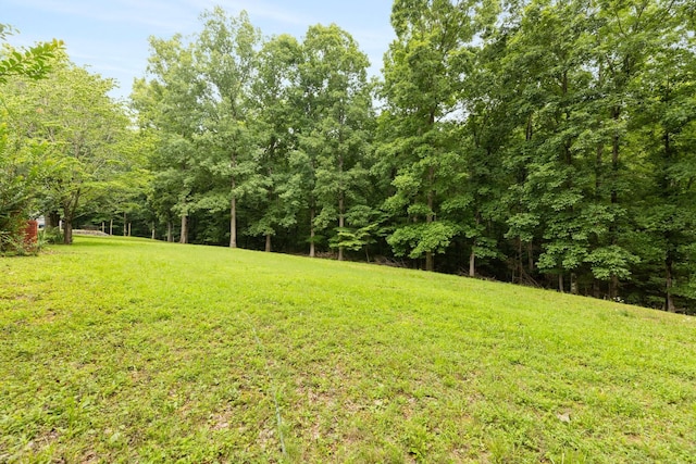 599 Countryside Dr, Loretto, TN 38469 - view of grassy yard with a wooded view