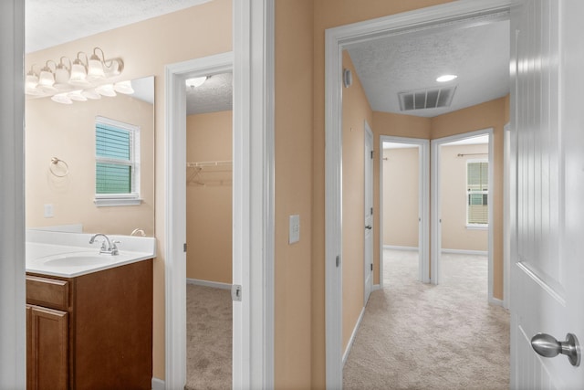 4114 Giacomo Dr, Murfreesboro, TN 37128 - bathroom with a textured ceiling, vanity, and a spacious closet
