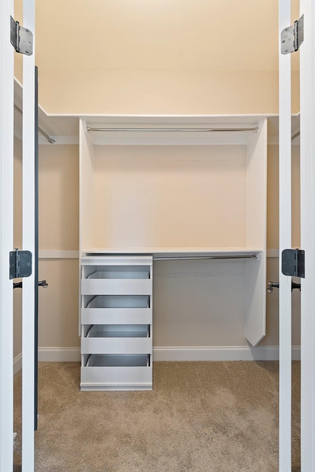 5010 Moretto Ct, Spring Hill, TN 37174 - walk in closet featuring carpet floors