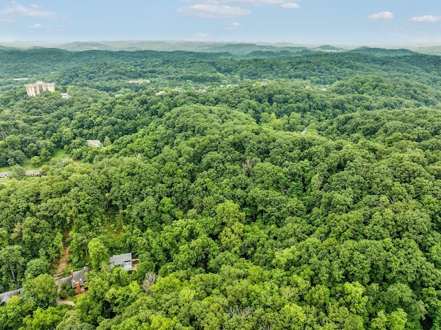 6621 Chatsworth Pl, Nashville, TN 37205 - photo 5