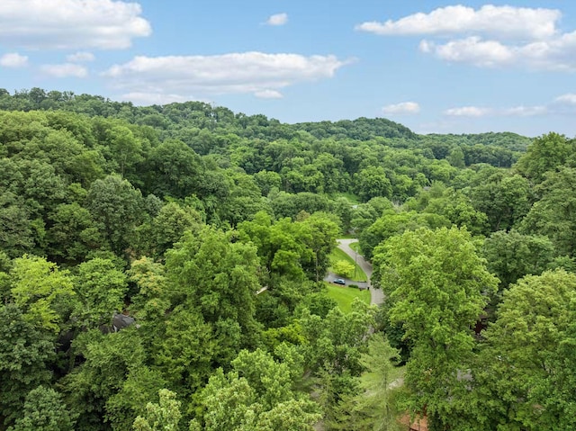 6621 Chatsworth Pl, Nashville, TN 37205 - photo 12