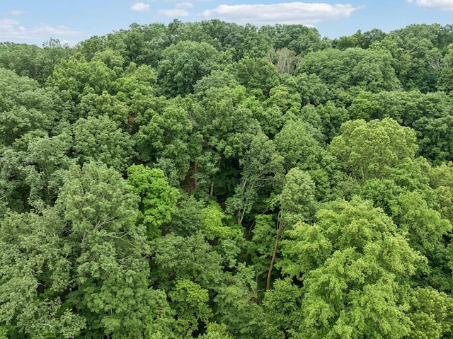 6621 Chatsworth Pl, Nashville, TN 37205 - photo 7