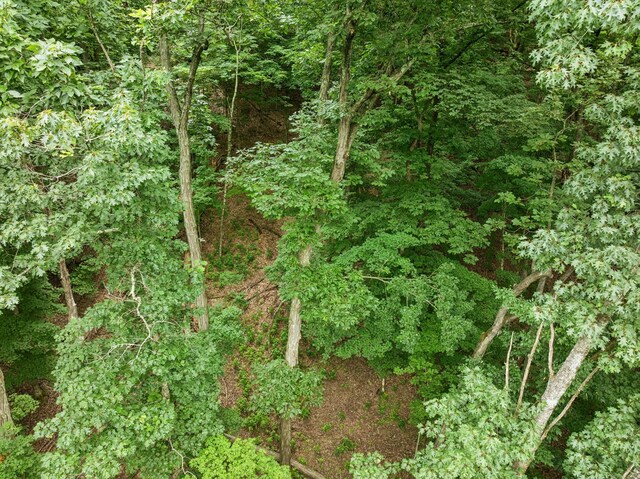 6621 Chatsworth Pl, Nashville, TN 37205 - photo 8