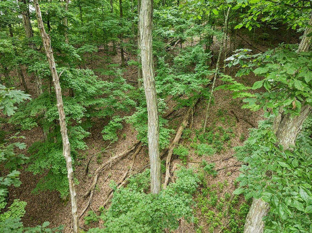6621 Chatsworth Pl, Nashville, TN 37205 - photo 9