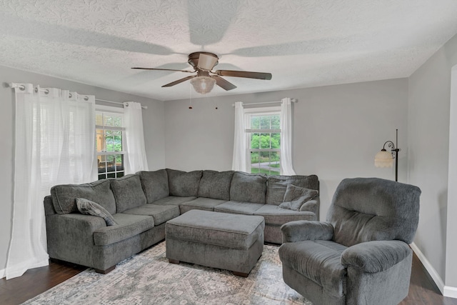 2750 Clampit Hollow Rd, Lafayette, TN 37083 - living room featuring plenty of natural light, a textured ceiling, wood finished floors, and ceiling fan