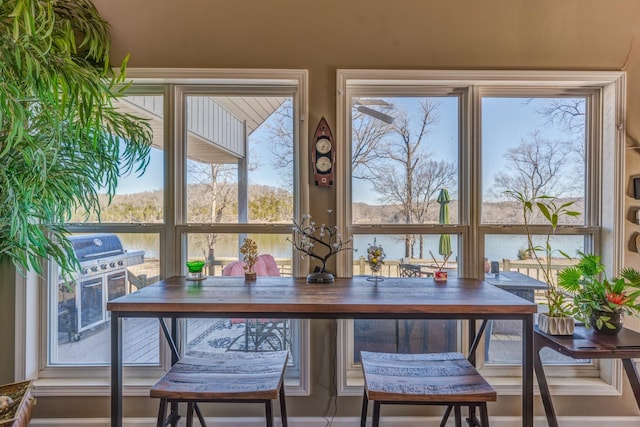 1178 Miracle Rd, Decaturville, TN 38329 - view of dining space