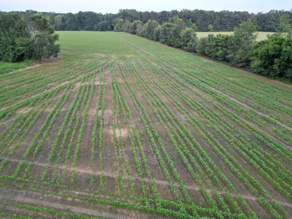 0 Six Mile Board Rd, Belvidere, TN 37306