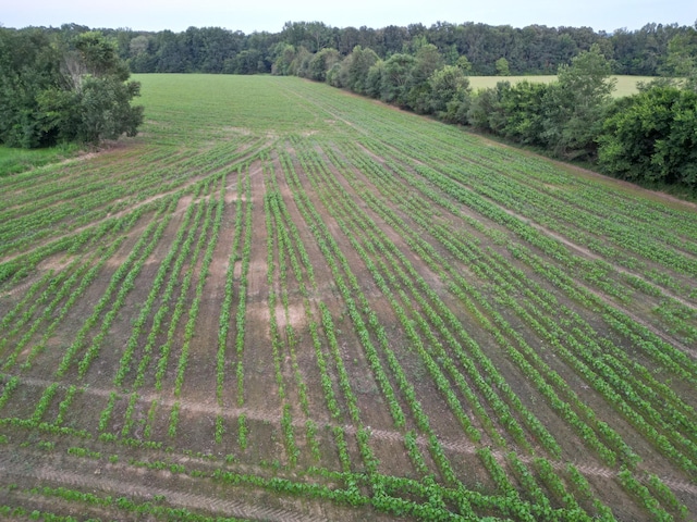 0 Six Mile Board Rd, Belvidere, TN 37306
