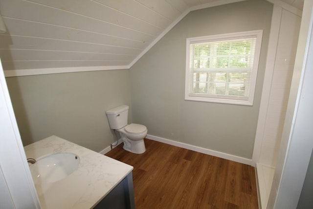 61 Kentucky Dr, Cadiz, KY 42211 - bathroom featuring wood finished floors, vaulted ceiling, and vanity