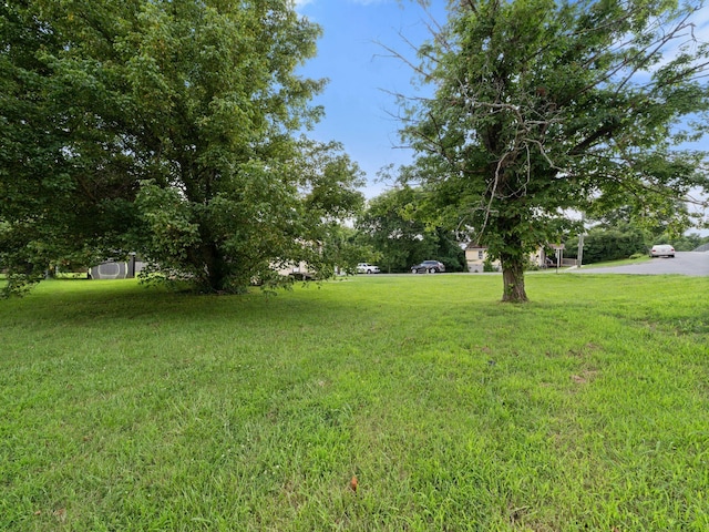 167 Plum St, Clarksville, TN 37042 - photo 15
