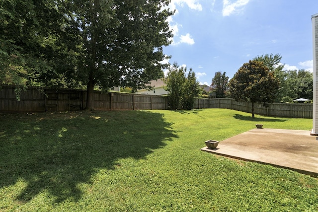 1918 Lawndale Dr, Spring Hill, TN 37174 - fenced backyard with a patio