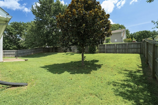 1918 Lawndale Dr, Spring Hill, TN 37174 - view of fenced backyard