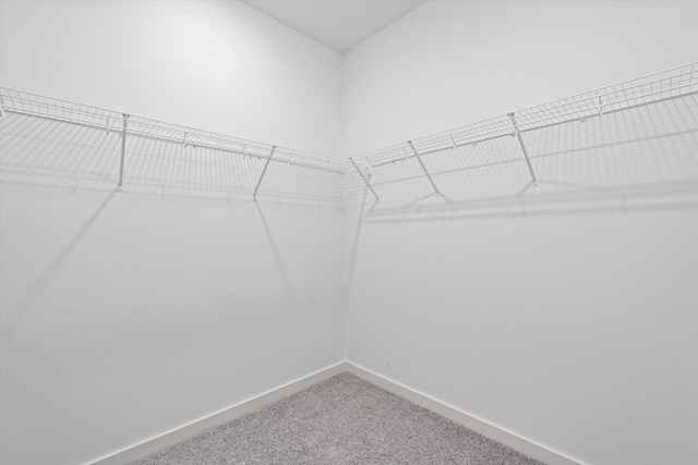 2620 Buckner Ln, Thompsons Station, TN 37179 - spacious closet featuring carpet flooring