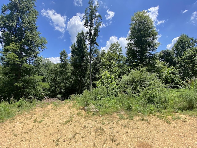 5032 Ridge Hill Dr, Joelton, TN 37080