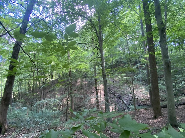 5032 Ridge Hill Dr, Joelton, TN 37080