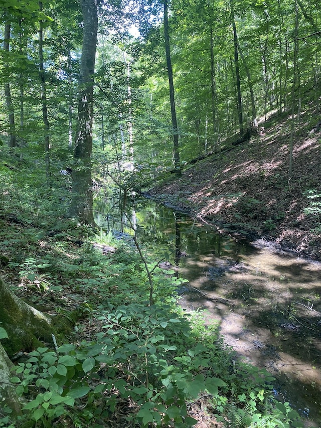5032 Ridge Hill Dr, Joelton, TN 37080