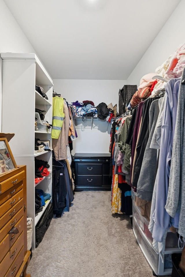 2305 Madeline Ct, Columbia, TN 38401 - walk in closet featuring carpet flooring