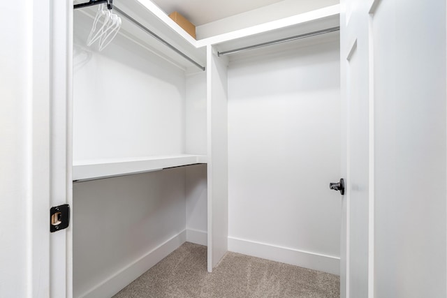 2744 Morrow Ln, Columbia, TN 38401 - walk in closet with carpet floors