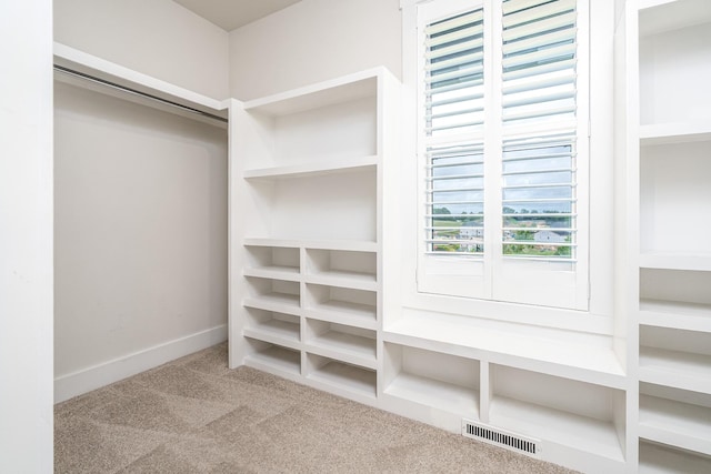 2744 Morrow Ln, Columbia, TN 38401 - walk in closet with carpet floors
