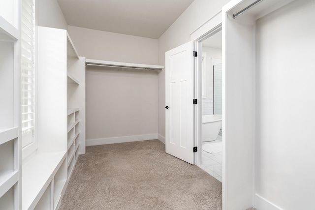 2744 Morrow Ln, Columbia, TN 38401 - spacious closet featuring carpet