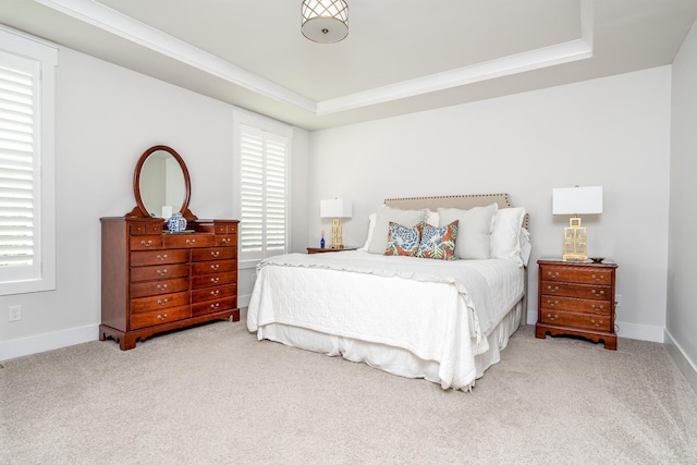 2744 Morrow Ln, Columbia, TN 38401 - carpeted bedroom with a raised ceiling and crown molding