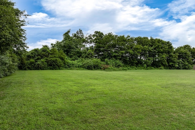 2744 Morrow Ln, Columbia, TN 38401 - view of green lawn