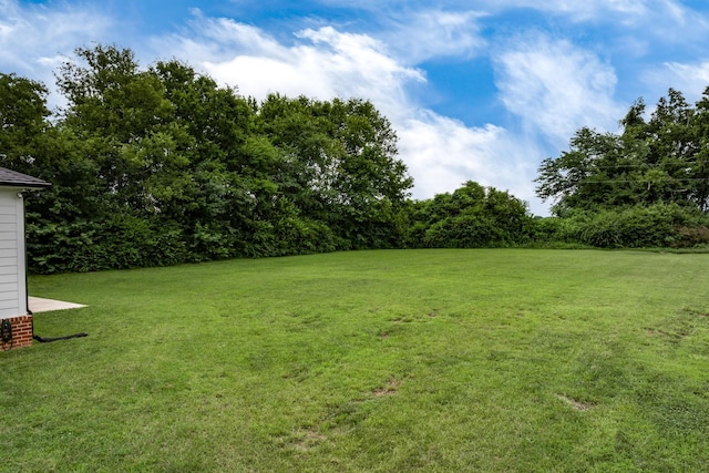 2744 Morrow Ln, Columbia, TN 38401 - view of green lawn