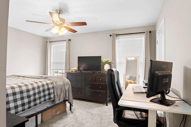 409 Heatherwood Dr, Murfreesboro, TN 37129 - photo 14