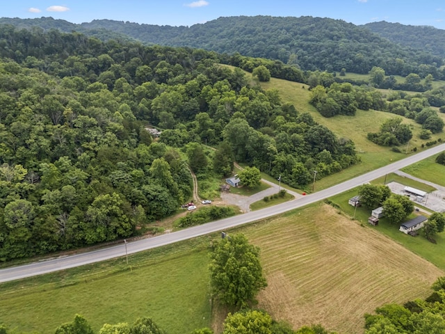 3337 Hartsville Rd, Lafayette, TN 37083 - overview of rural landscape featuring a mountain backdrop
