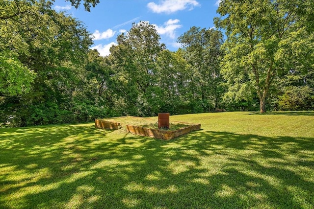 318 David St, Lawrenceburg, TN 38464 - view of grassy yard