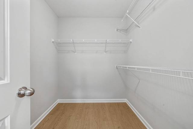 2149 Longhunter Chase Dr, Spring Hill, TN 37174 - spacious closet with wood finished floors